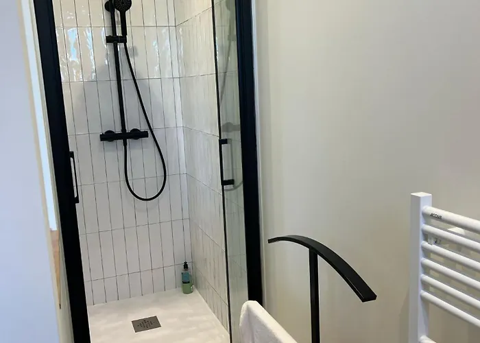 L'elegance A La Parisienne *